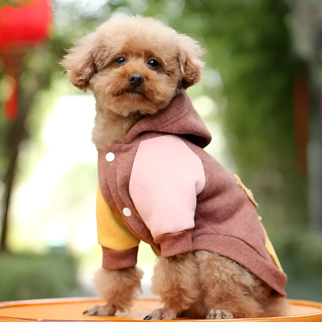Brown cotton dog sweatshirt for pets on a mannequin, showing casual leisure style.