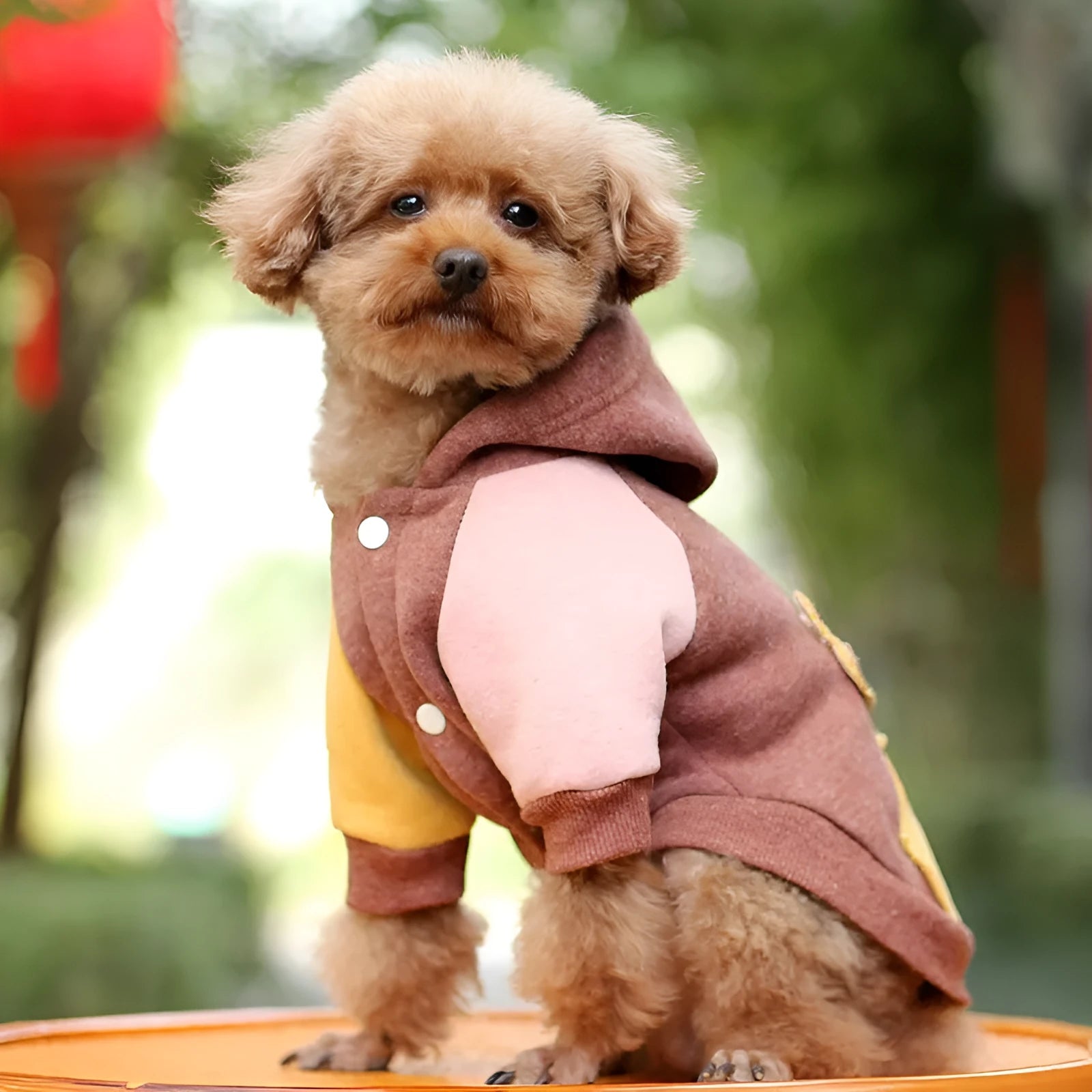 Brown cotton dog sweatshirt for pets on a mannequin, showing casual leisure style.