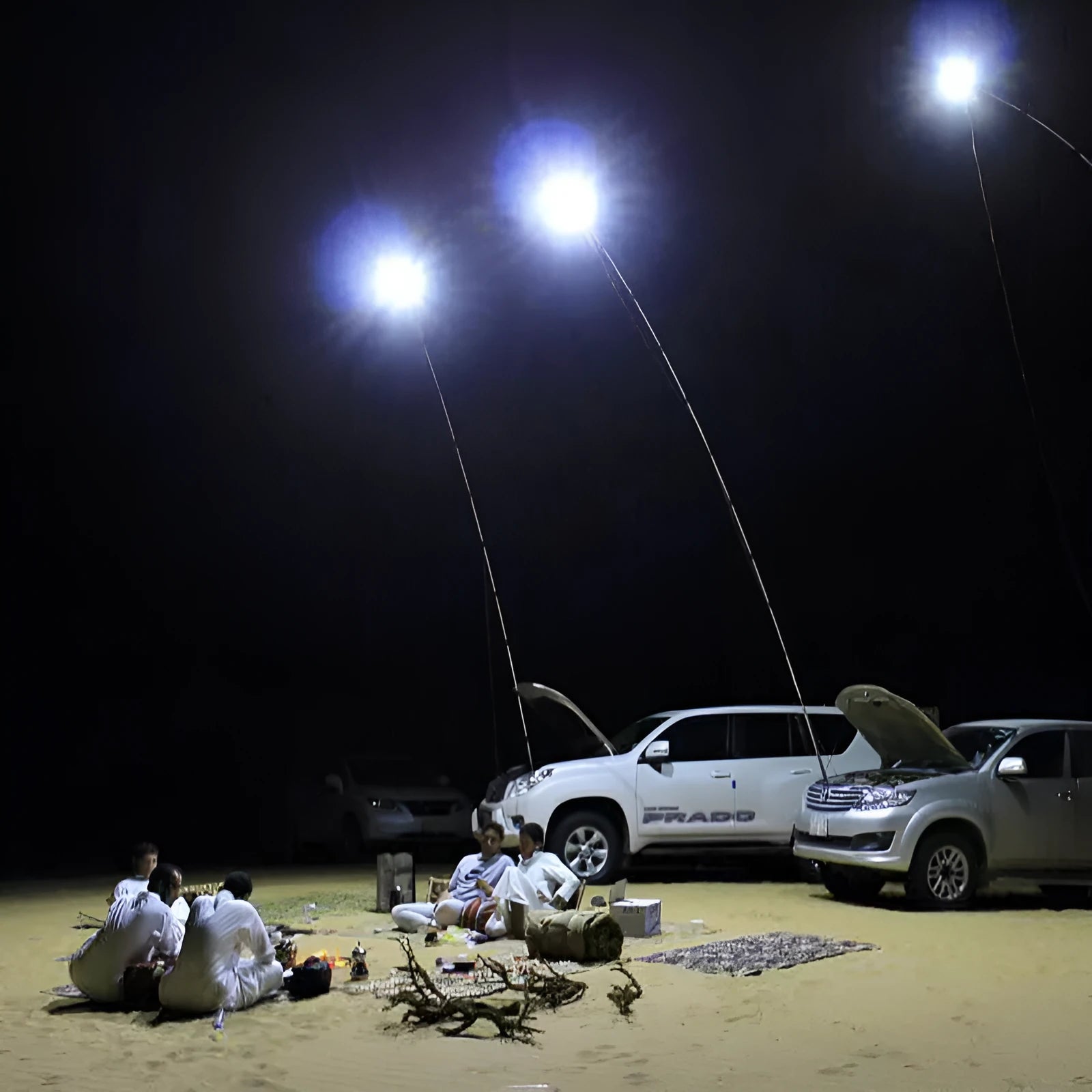 White LED fishing rod light with telescopic pole and remote control for outdoor use