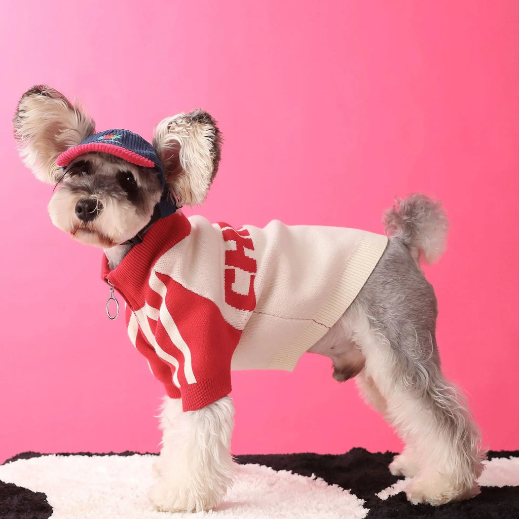 Dog wool cardigan sweater for male puppies in dark green or red colour without accessories