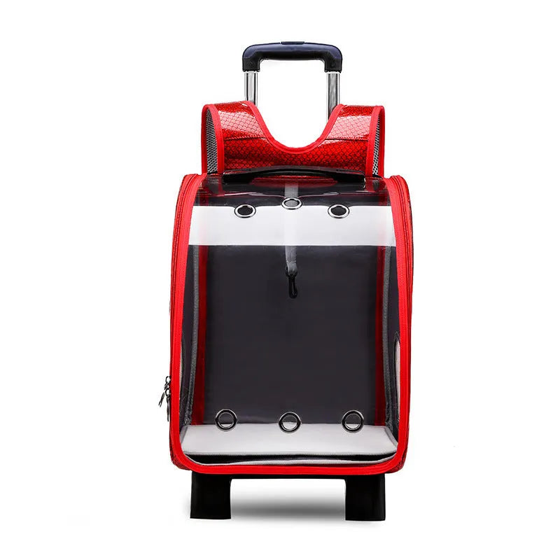 Transparent folding shoulder pet trolley bag for small dogs and cats in blue colour