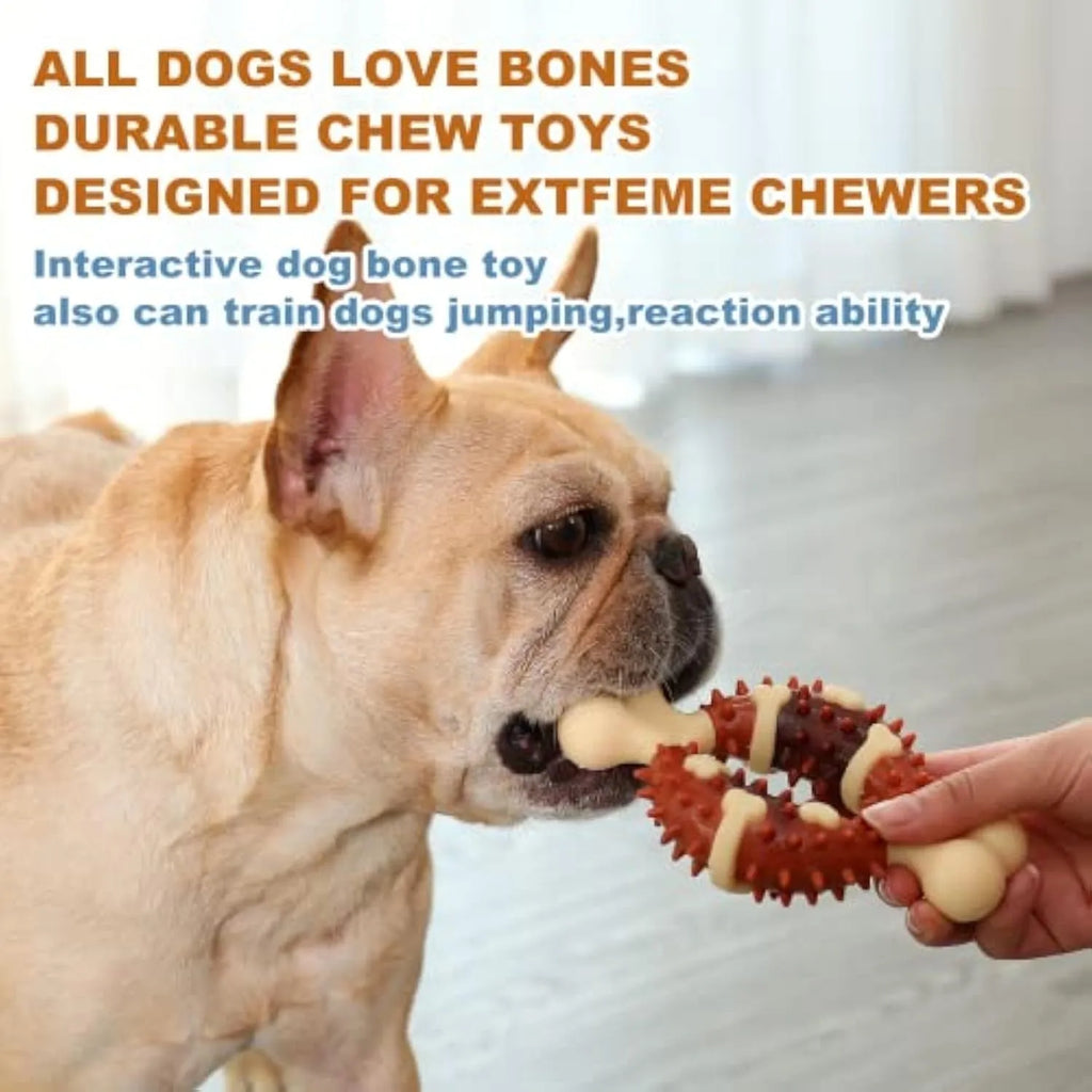 Natural rubber bone-shaped dog chew toy for teeth cleaning shown in two sizes.