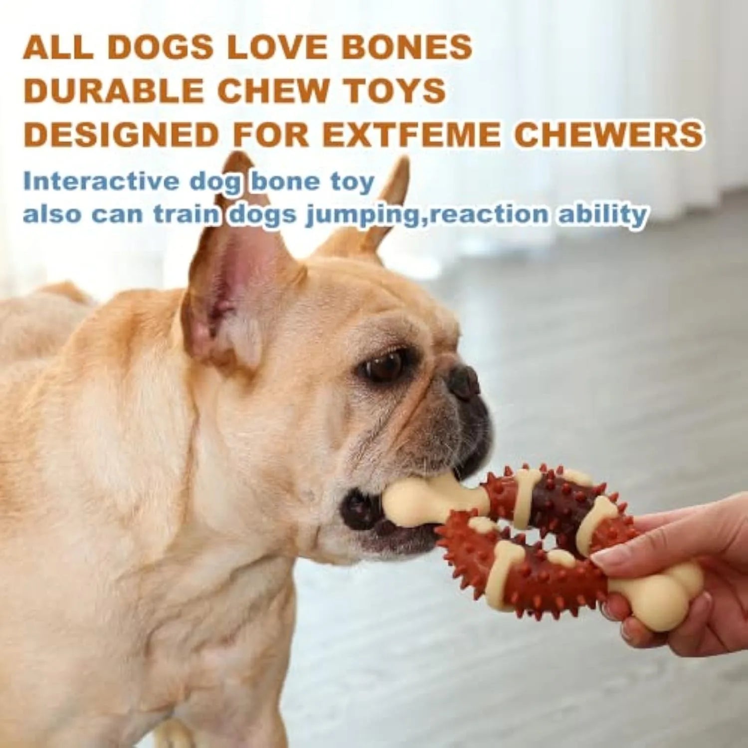 Natural rubber bone-shaped dog chew toy for teeth cleaning shown in two sizes.