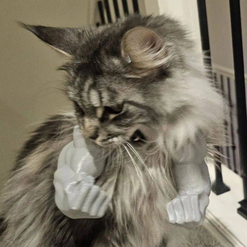 Funny muscle hand cat hanging toy in plastic, available in black colour