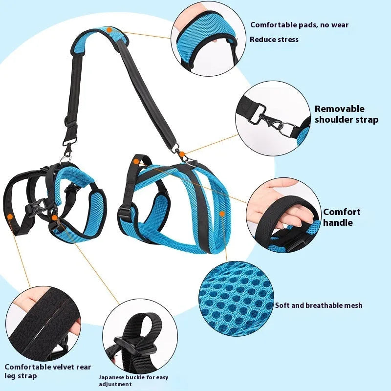 Blue polyester dog auxiliary strap hand-holding walking lead