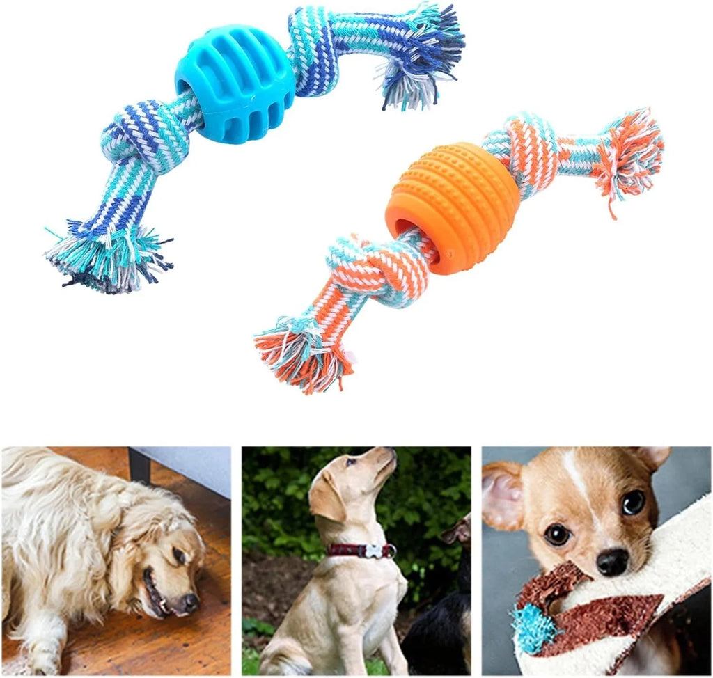 Blue molar-shaped dog chew toy with a white rope threaded through the centre.