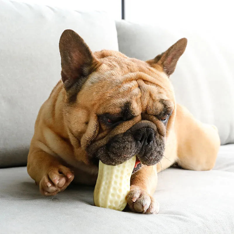 Dog simulation peanut toy in TPR with sounding feature, 14x8cm, 130g, colour as shown