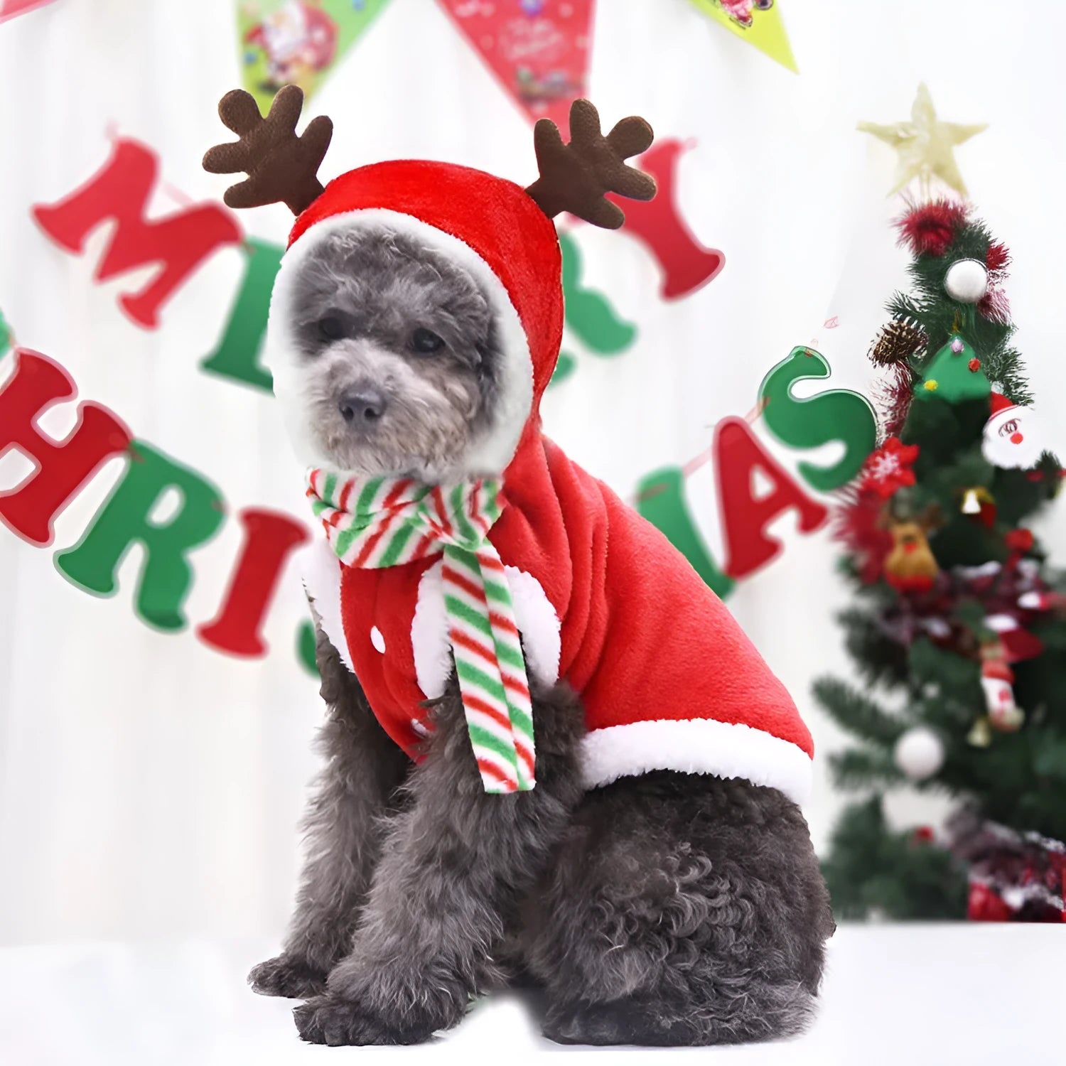 Dog Christmas pet clothing in red green colours casual four-legged cloth garment for small to large dogs