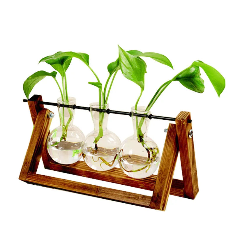 Hydroponic borosilicate glass vase in a wooden swing stand with iron frame, geometric pastoral design for indoor plant display