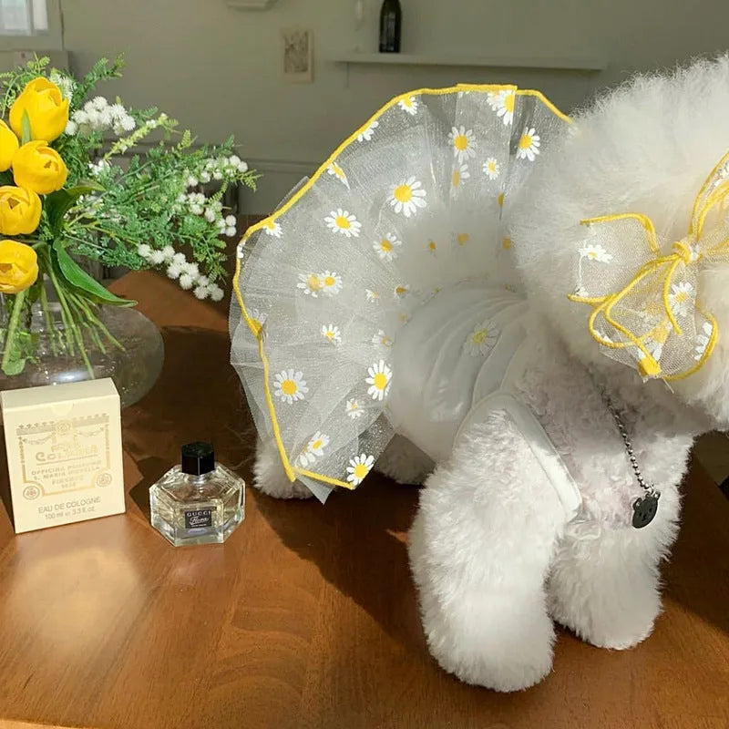 Yellow daisy print dog clothing for summer wear in lightweight polyester fabric