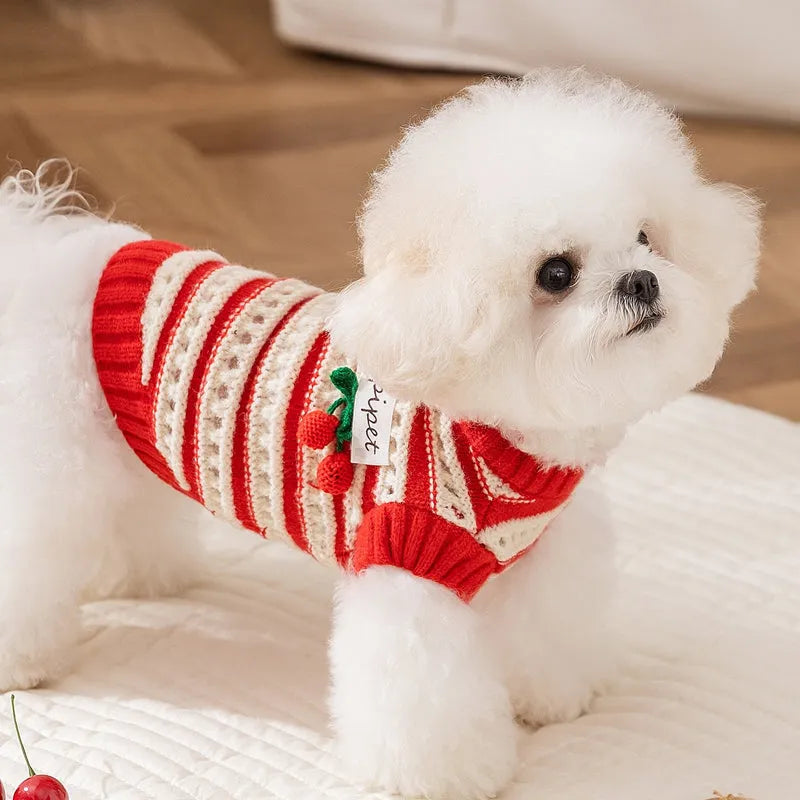 Red knitted cherry pet sweater with white stripes and 3D cherry embroidery for small dogs and cats