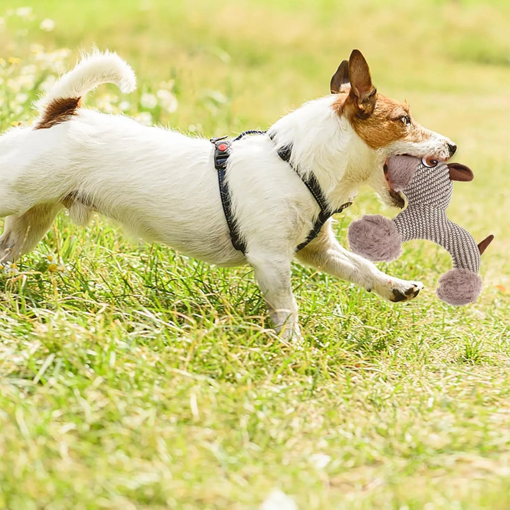 Plush squeaky dog toy for medium and large dogs, available in Monkey or Puppy design.