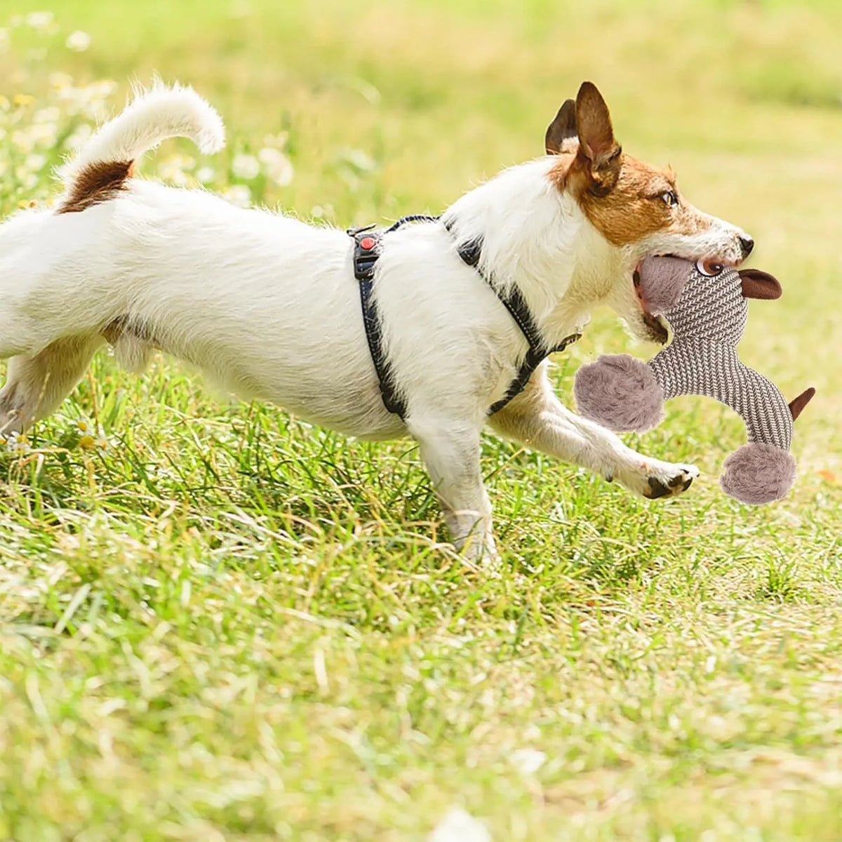 Plush squeaky dog toy for medium and large dogs, available in Monkey or Puppy design.