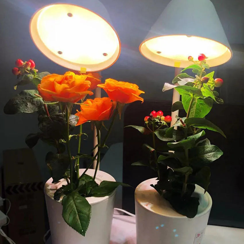 White plastic desktop hydroponic plant growth machine for soilless cultivation.