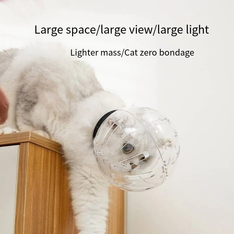 Transparent cat muzzle space hood with adjustable Velcro strap, sizes M L XL, for grooming and recovery.