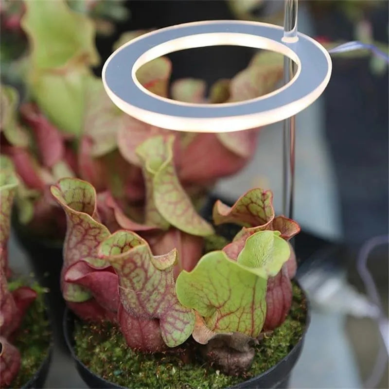 USB LED plant grow light with transparent PC and aluminium housing on a 25cm acrylic stick.