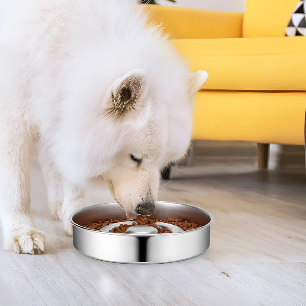 Stainless steel pet slow feeding bowl with neck protector, silver finish, single bowl for dogs and cats