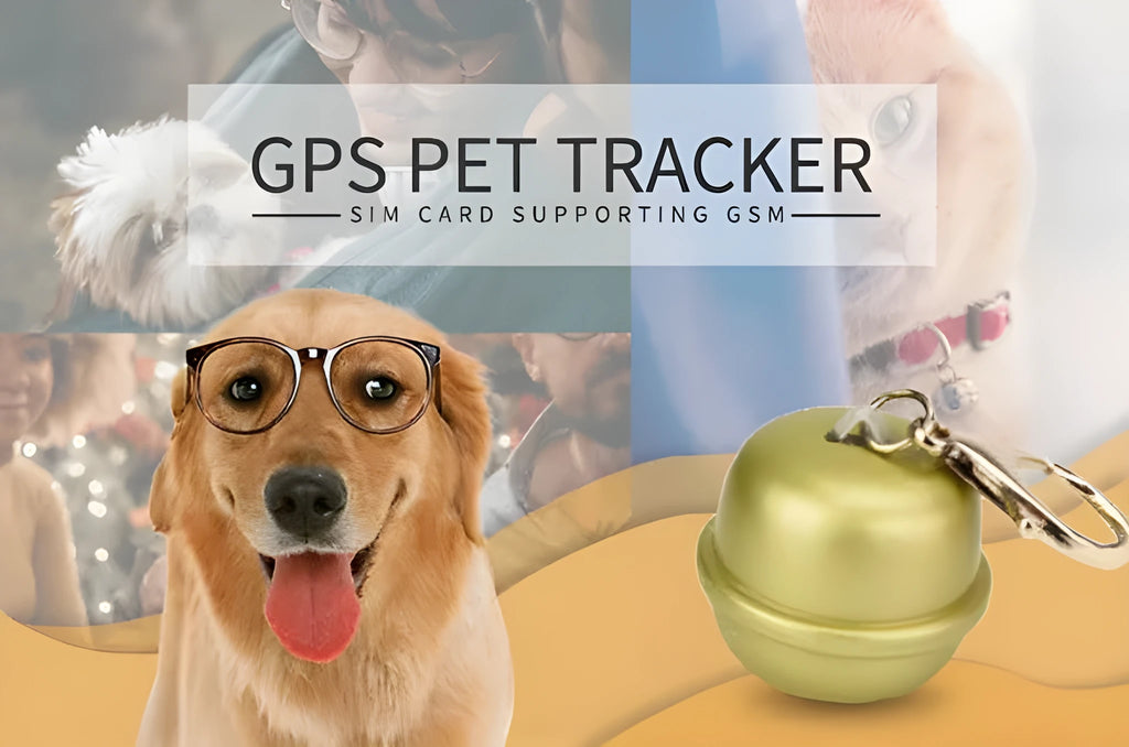Black GPS dog tracking collar unit attached to an adjustable nylon strap on a dog's neck.