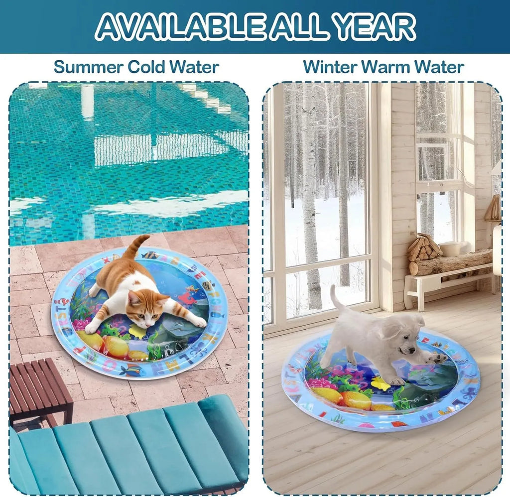 Square blue water sensory playmat for cats with floating fish toys inside, shown inflated on a floor.