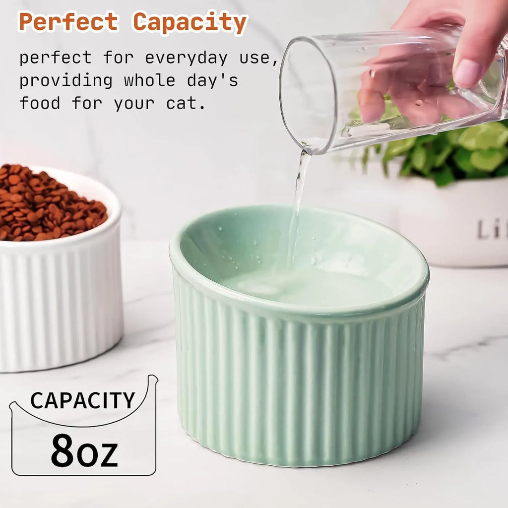 Ceramic elevated cat bowl in green with tilted round shape and raised feeding height