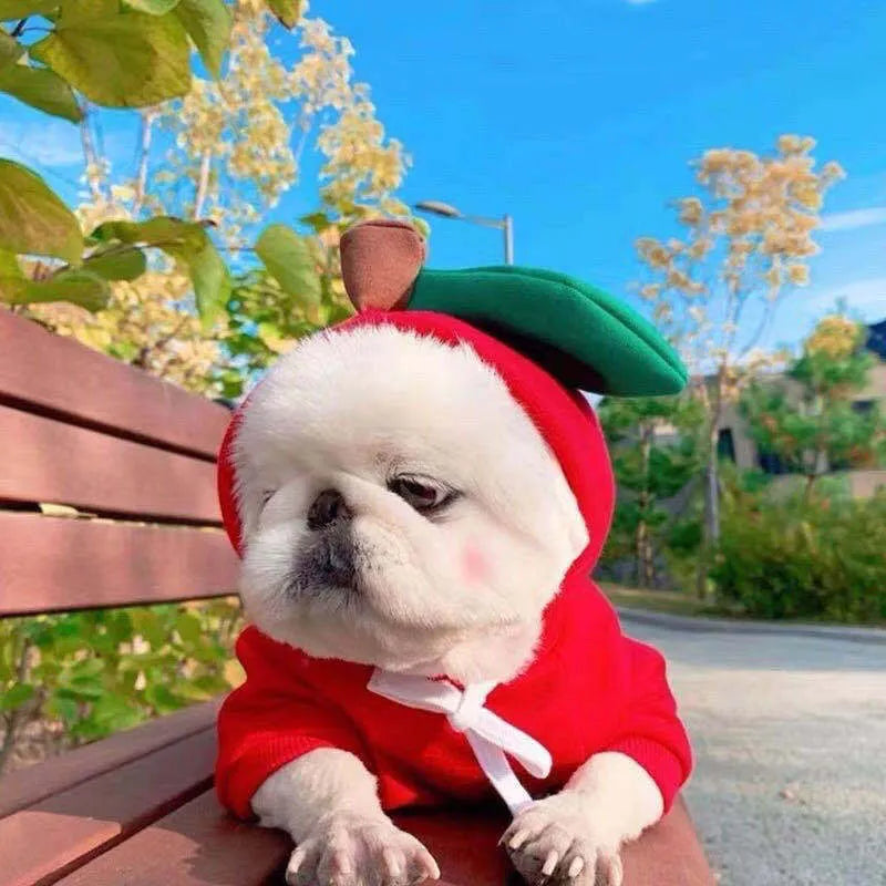 Fruit dog clothes two-legged hooded green fleece outfit for small dogs autumn winter pet sweater
