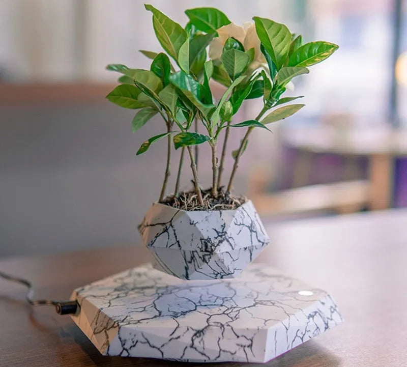 Marble-coloured levitating plant pot floating above magnetic base with small plant rotating