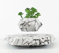 Marble-coloured levitating plant pot floating above magnetic base with small plant rotating