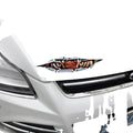 3D tiger eye and eagle eye car bumper sticker on vehicle door, 10x35 cm PVC material