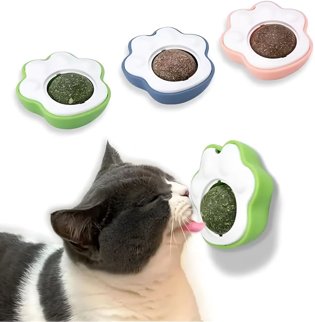 Set of catnip balls and dental chew toys for kittens including edible vine cat lick toys