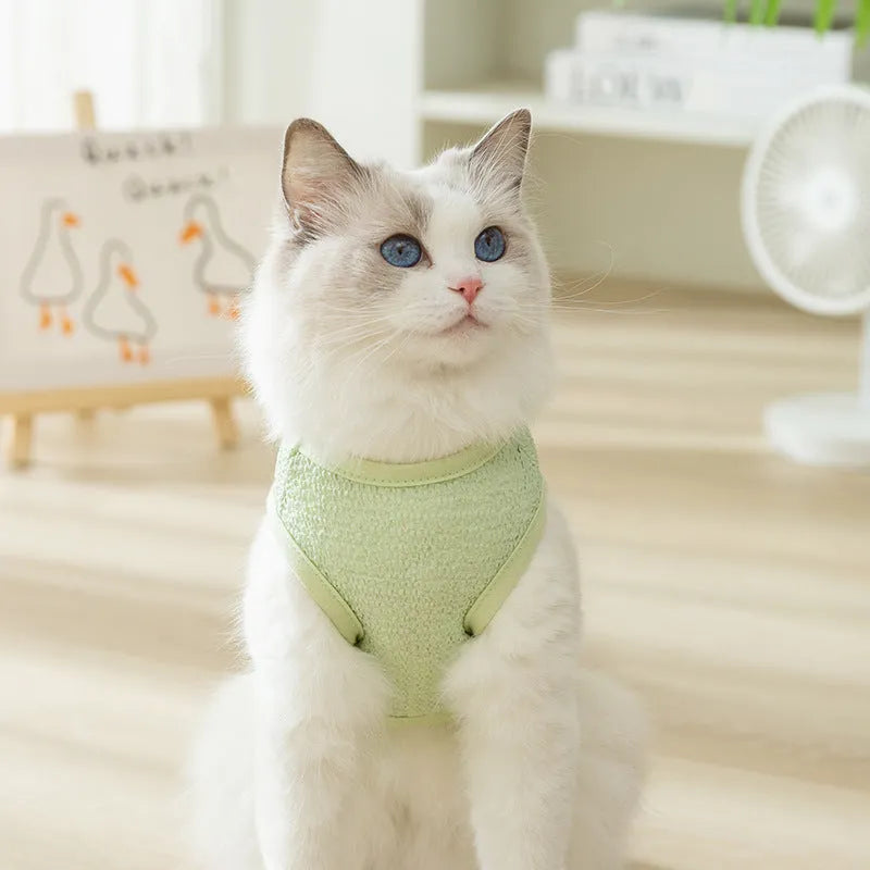 Cat wearing hollowed-out bear patch clothes in knitted fabric with breathable design