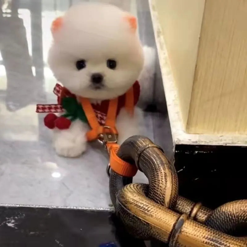 PP plastic simulation dog leash video prop in bronze, antique silver, or black colour.
