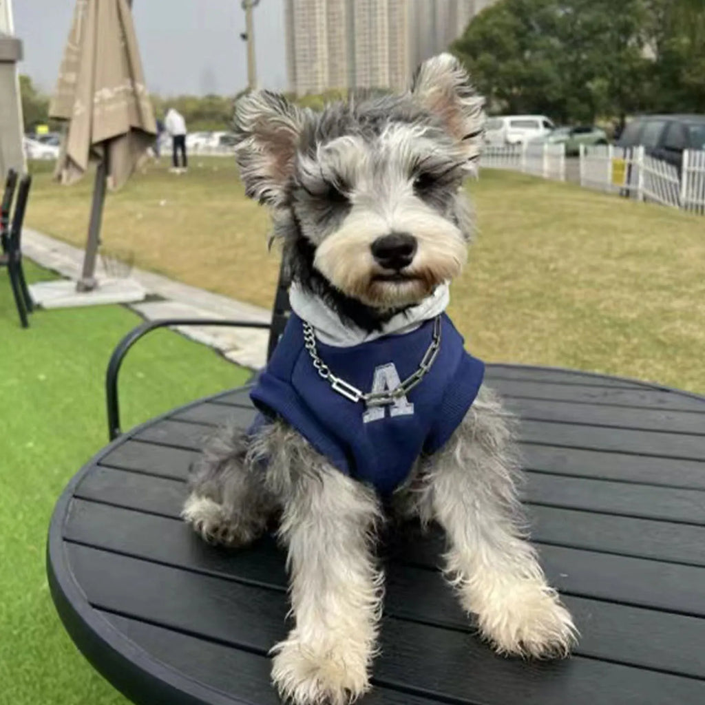 Blue and white reflective letter pet hoodie for dogs and cats in slim fit design