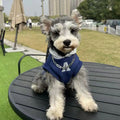 Blue and white reflective letter pet hoodie for dogs and cats in slim fit design