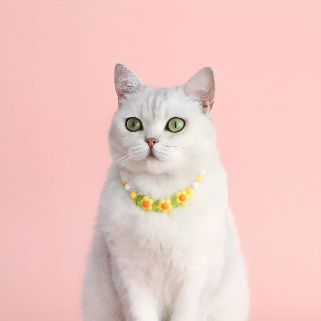 Colourful plastic bead pet necklace in peach, rainbow, and small flower designs for cats and dogs