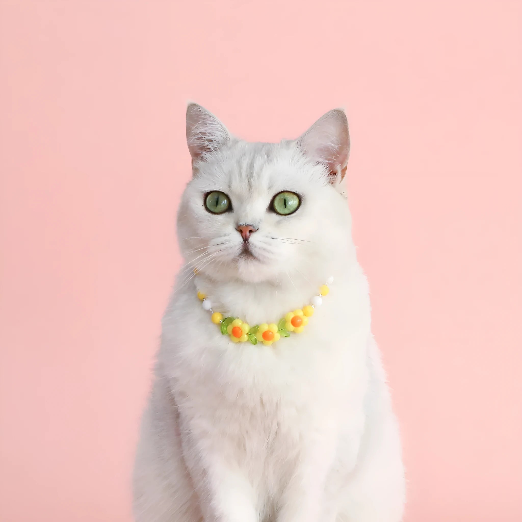 Colourful plastic bead pet necklace in peach, rainbow, and small flower designs for cats and dogs