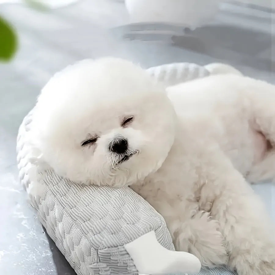 Blue big-eyed monster design pet bed cushion for dogs on a wooden floor.