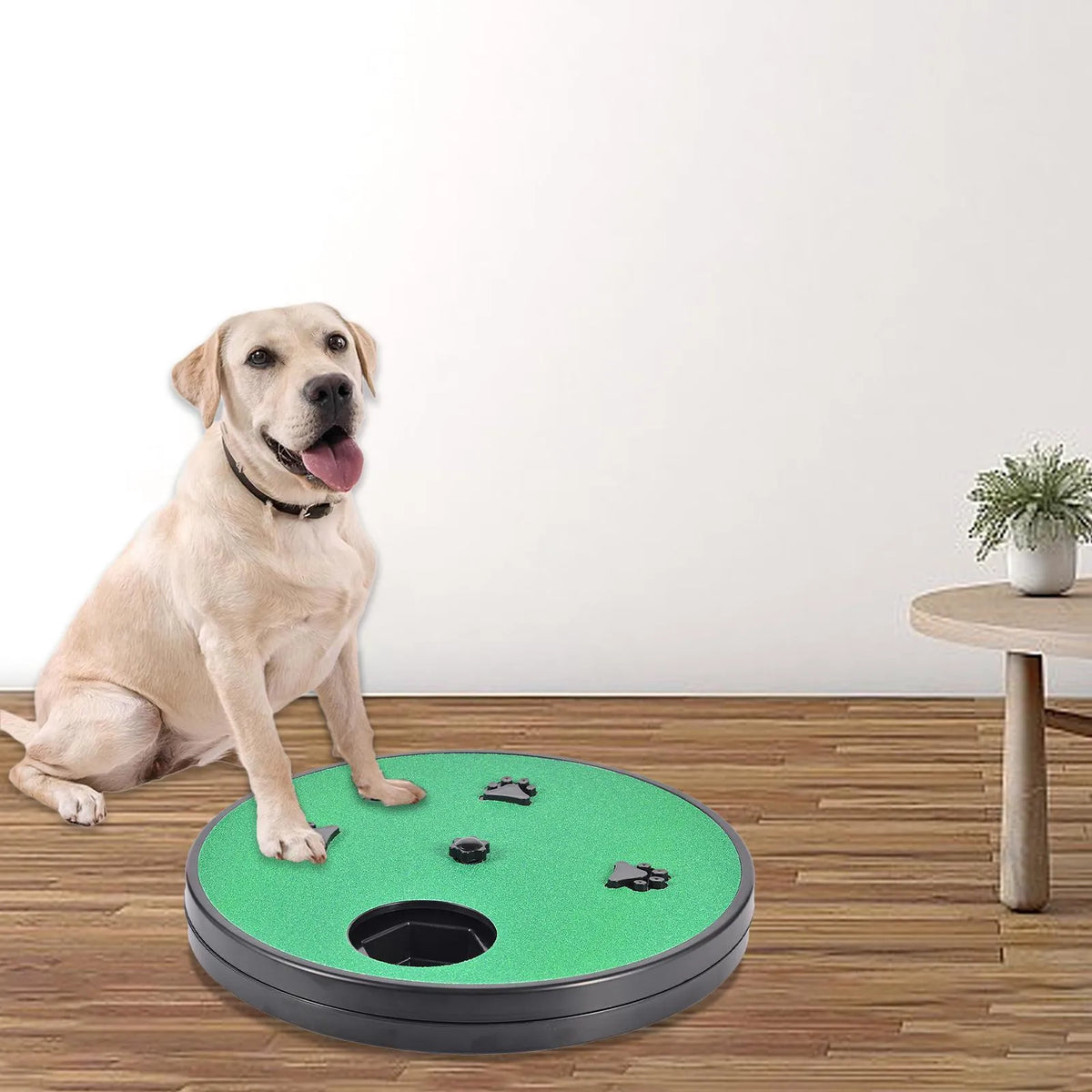 33cm dog nail scraper slow food toy with rotatable sandpaper file board, six food compartments, and suction cup base