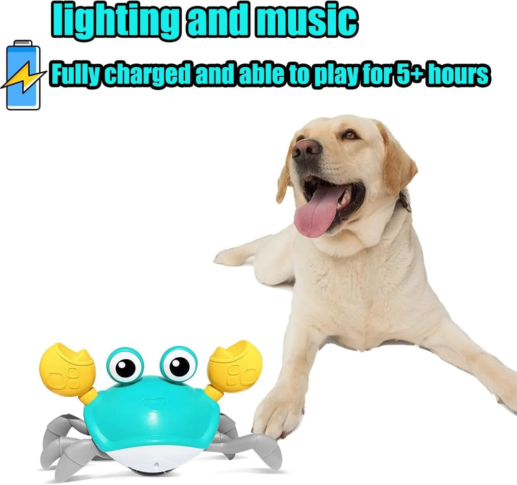 Blue electronic crawling crab dog toy on floor with lights illuminated.