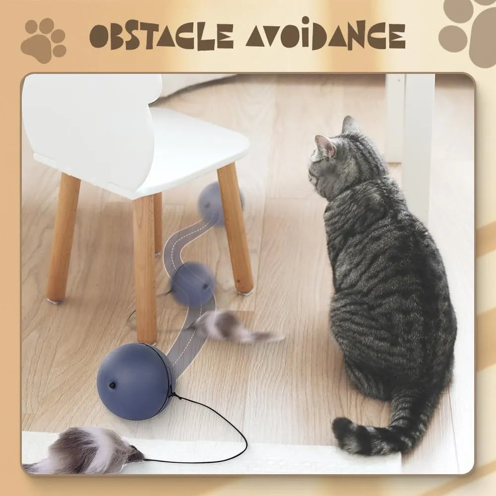 Interactive automatic self-rolling cat ball toy in Blue Orange color, wear-resistant material
