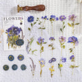 Package of colourful creative dried flower journal stickers showing eight different modern art style designs on clear PET sheets.