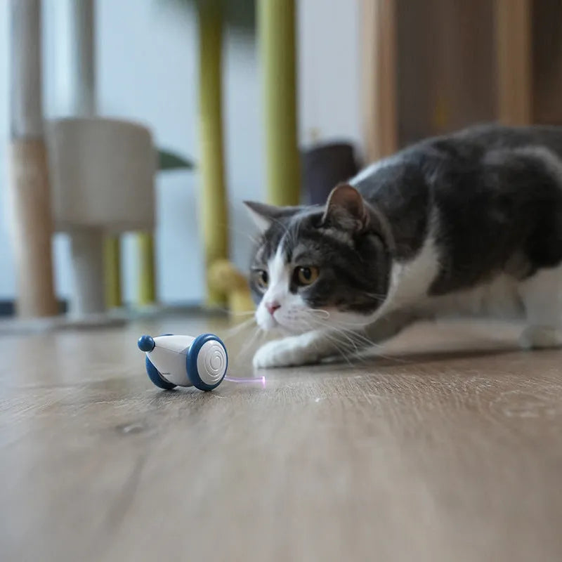 Electric cat mouse toy in blue or yellow, 60x50x36mm, USB rechargeable 135mAh, ABS TPU PVC
