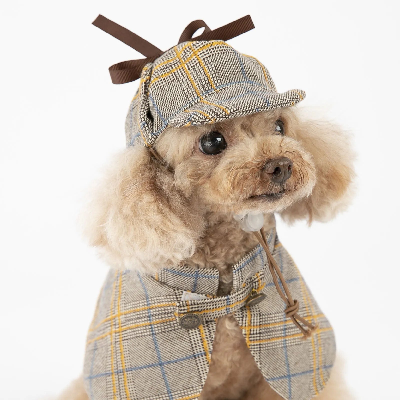 Personalised camel-coloured dog cloak with adjustable hood for spring and autumn wear
