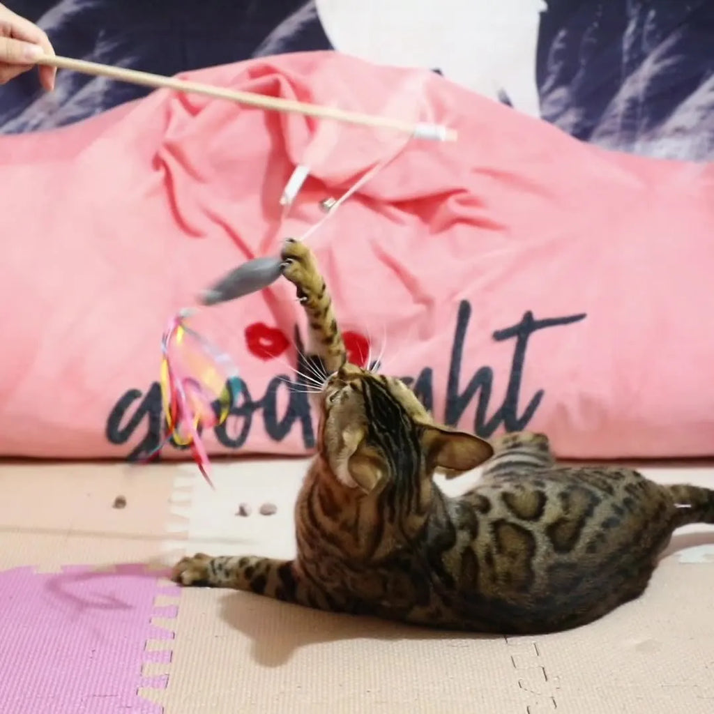 Colourful cat wand toy with ribbons, bell, and catnip fish on a wooden handle.