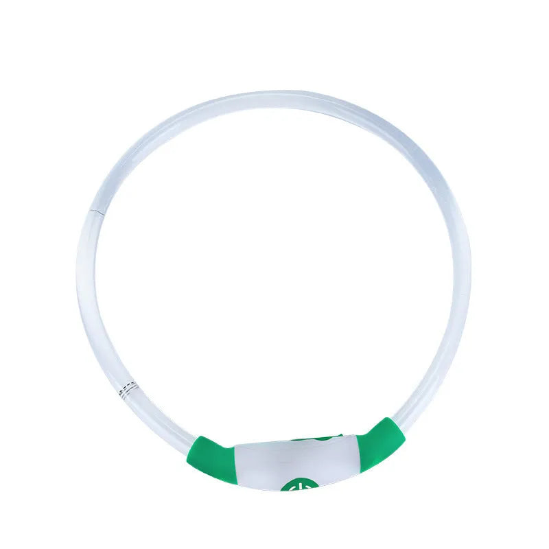 Blue USB rechargeable LED dog collar glowing on a dog's neck at night.