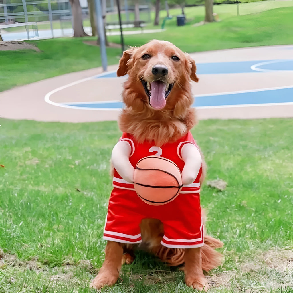 Creative dog basketball costume in red with ball, suitable for small medium large pets