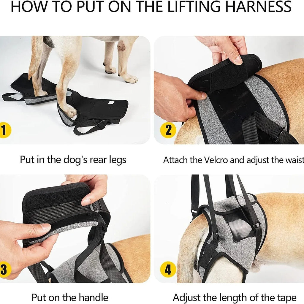 Grey neoprene dog rear leg recovery belt showing adjustable sizing for canine injury rehabilitation support