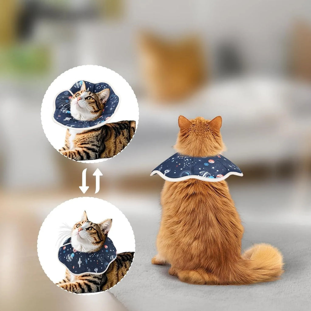 Soft cat recovery collar in constellation colour showing adjustable fastener and soft interior padding