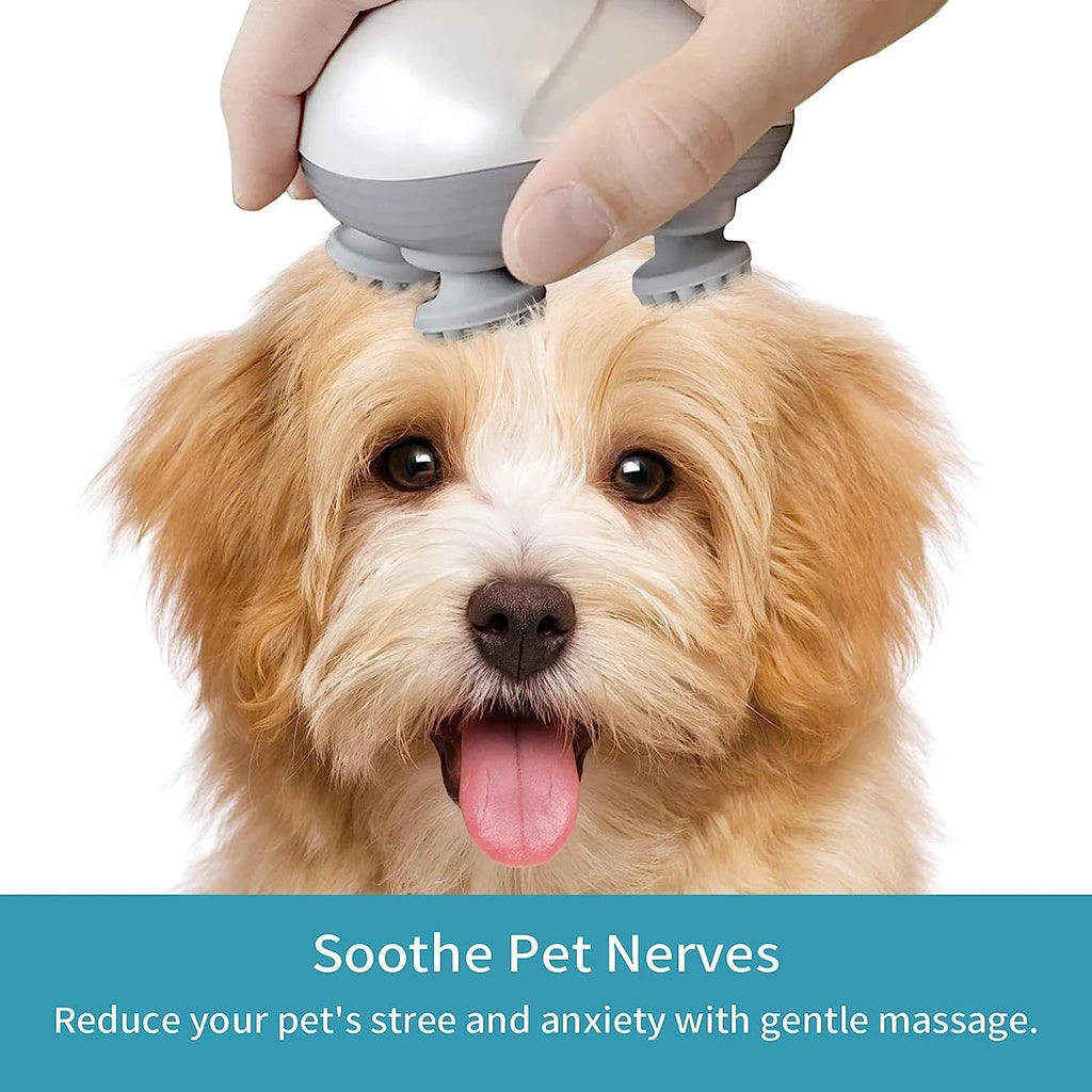 Blue handheld electric pet massager with four rotating soft heads on a white background