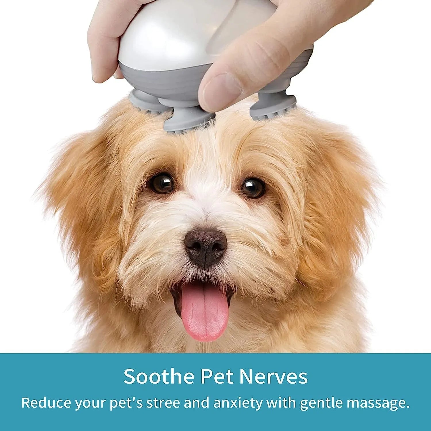Blue handheld electric pet massager with four rotating soft heads on a white background