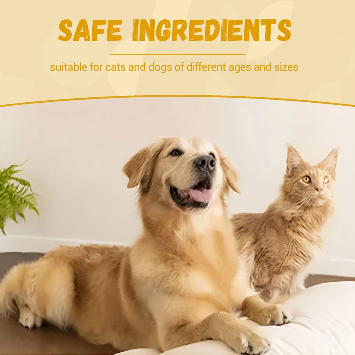 60ml pet nutritional supplement bottle with dandelion, Echinacea, cranberry, astragalus and Shuta root extracts